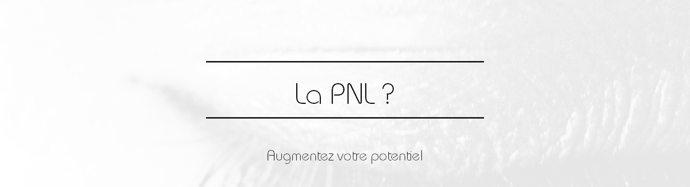 Présentation séances PNL Toulouse Institut NL